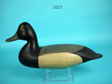 BLUEBILL DRAKE, H.V. SHOURDS