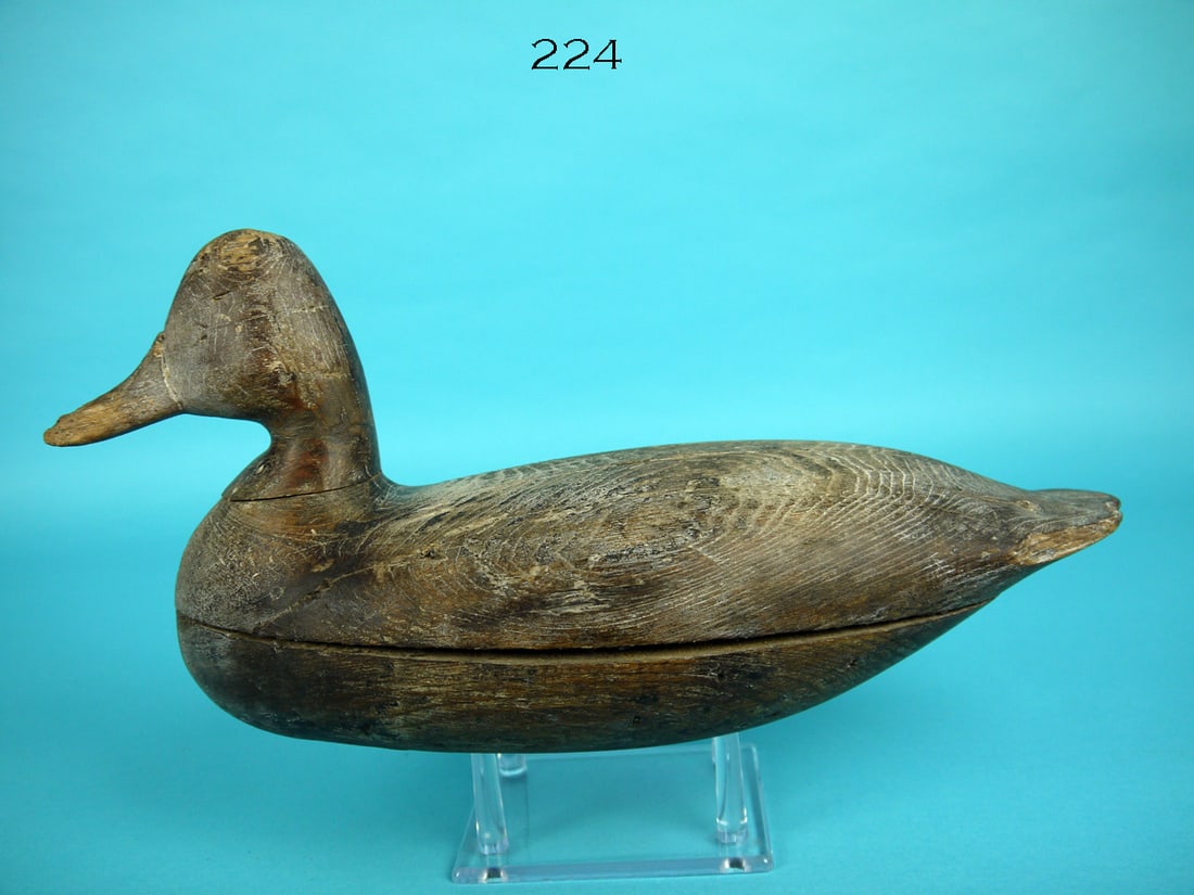 BLUEBILL DRAKE, H.V. SHOURDS (1 of 4)