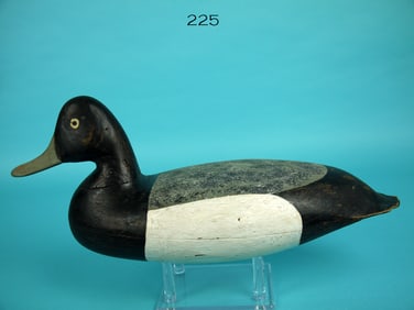 BLUEBILL DRAKE, H.V. SHOURDS