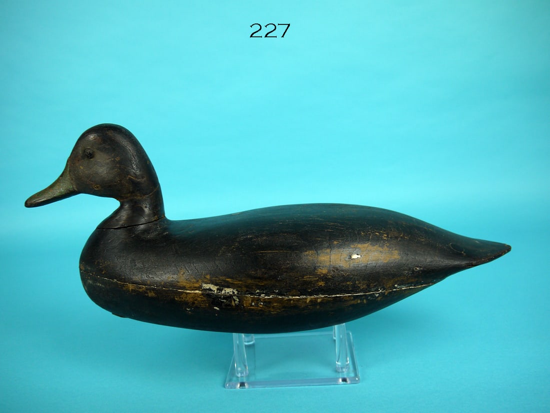 BLACK DUCK, H.M SHOURDS (1 of 4)