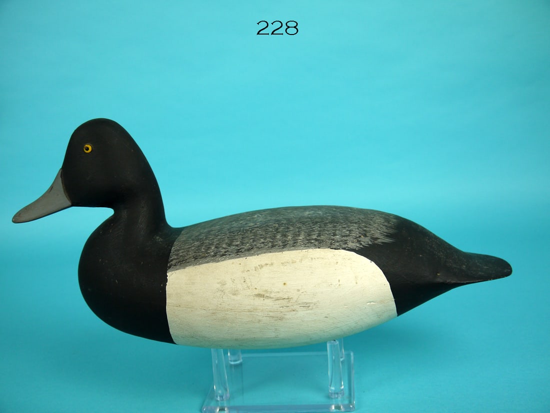 BLUEBILL DRAKE, H.M. SHOURDS (1 of 4)