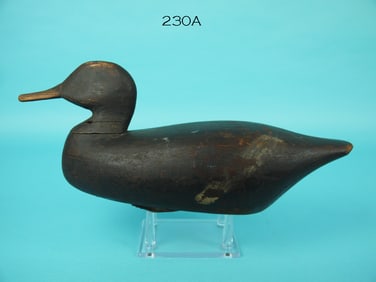 BLACK DUCK, NJ