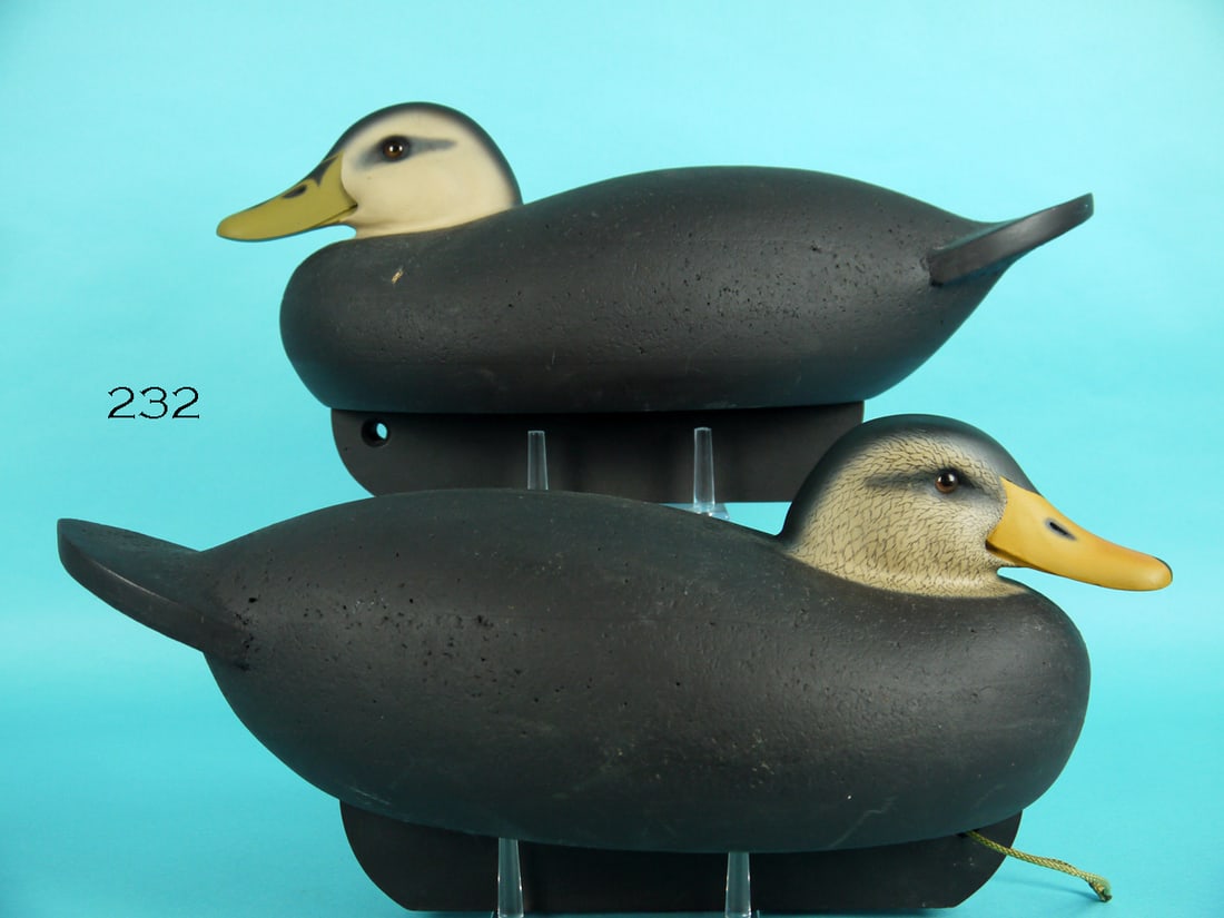 BLACK DUCK PAIR, C.R. MARTER, JR. (1 of 4)