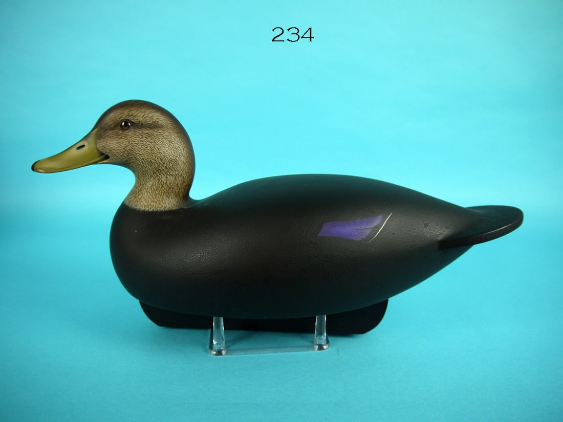 BLACK DUCK HEN, C.R. MARTER, JR. (1 of 4)