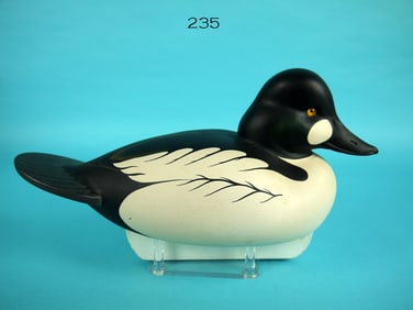 GOLDENEYE DRAKE, C.R. MARTER, JR.