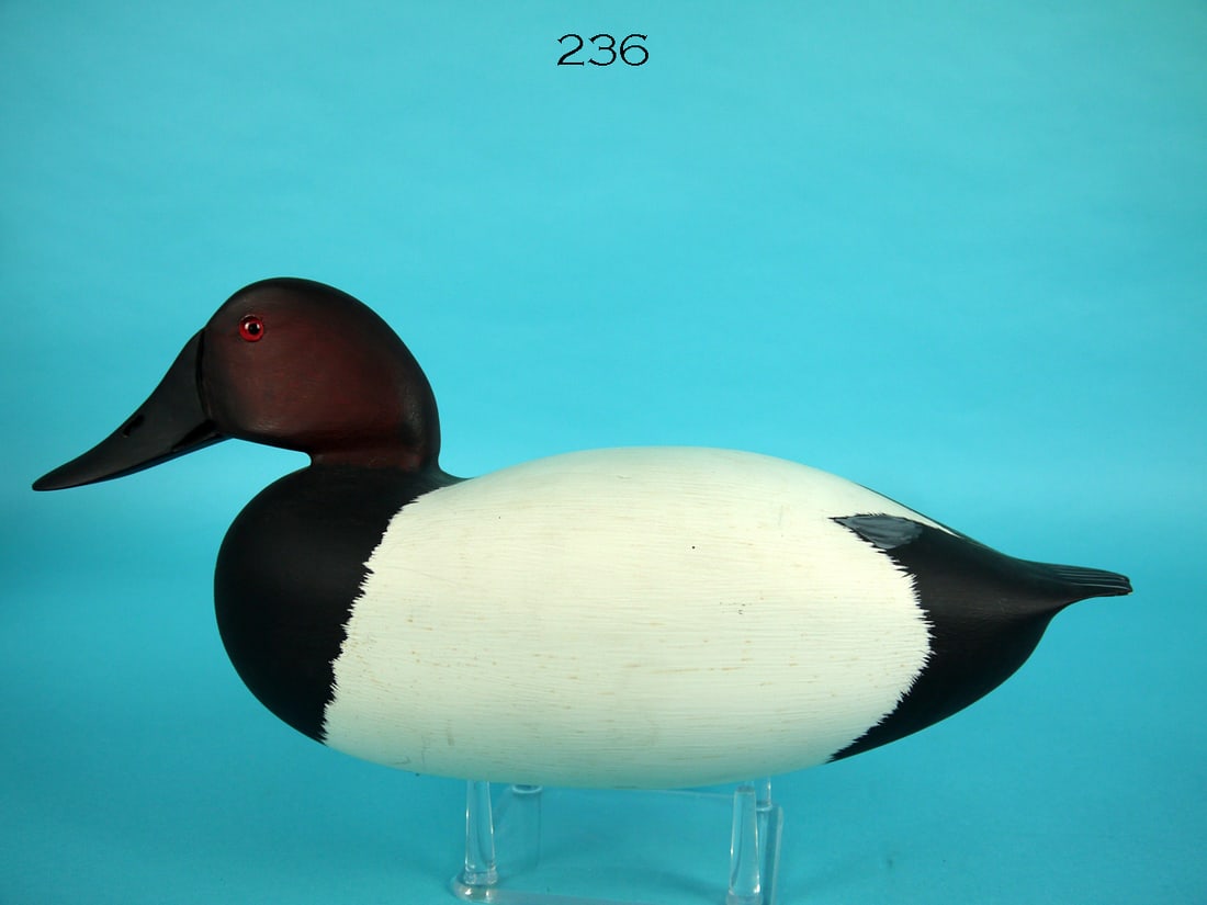 CANVASBACK DRAKE, C.R. MARTER, JR. (1 of 4)