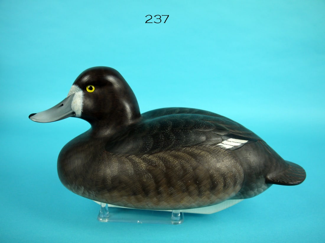 BLUEBILL HEN, C.R. MARTER, JR. (1 of 4)