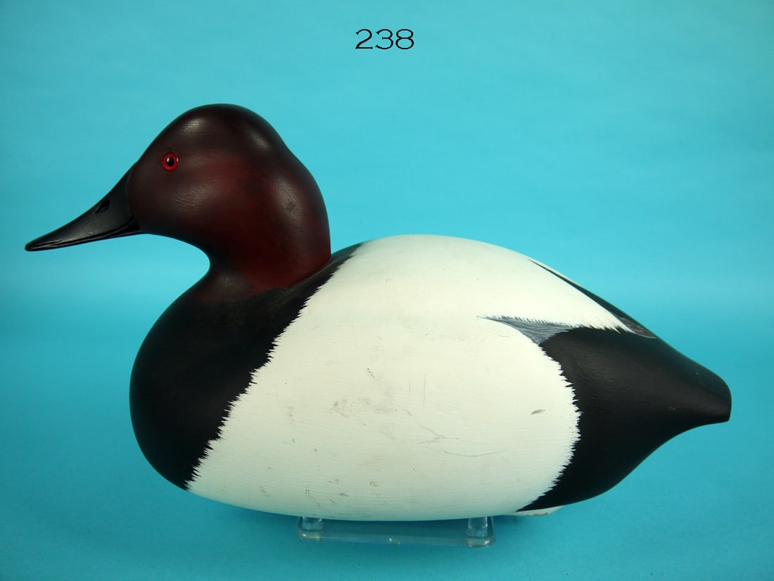 CANVASBACK DRAKE, C.R. MARTER, JR. (1 of 4)