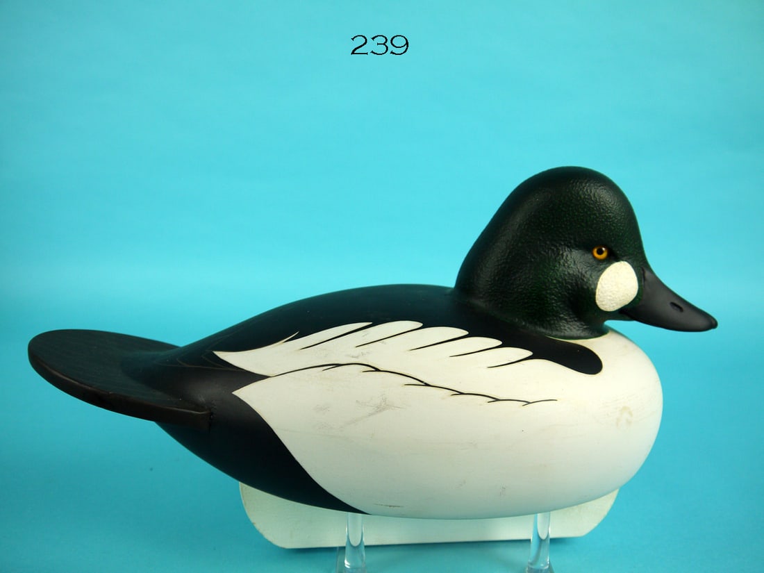 GOLDENEYE DRAKE, C.R. MARTER, JR: FINE GOLDENEYE DRAKE by Caleb R. Marter, Jr., Burlington, NJ. Excellent original paint and structural condition. Hollow construction. Detailed painted feather work overall. Paddle-tail carving. Carved