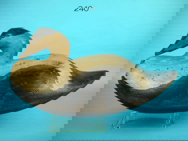 EIDER, S. MOREY