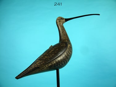 CURLEW, S. MOREY
