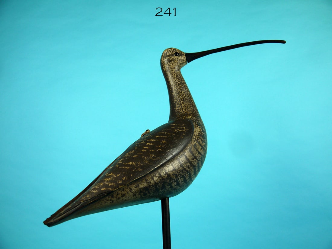 CURLEW, S. MOREY (1 of 5)