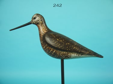 DOWITCHER, S. MOREY