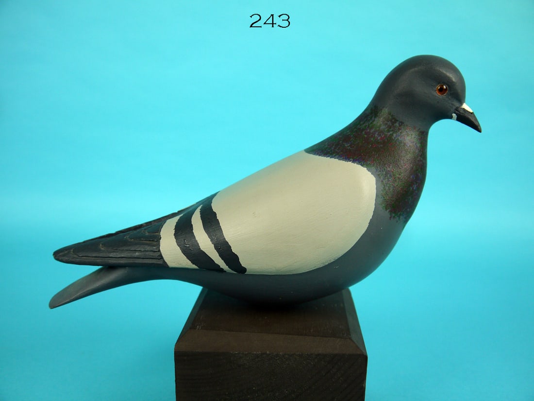PIGEON, S. MOREY: PIGEON by Steve Morey, Tuckerton, NJ. Very good original paint and structural condition. Raised wing tips with carved feather detail. Retains glass eyes. Maker's "M" carved in underside. Mounted atop