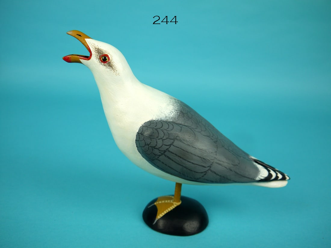 ONE-HALF SIZE HERRING GULL, J. WOOD (1 of 3)