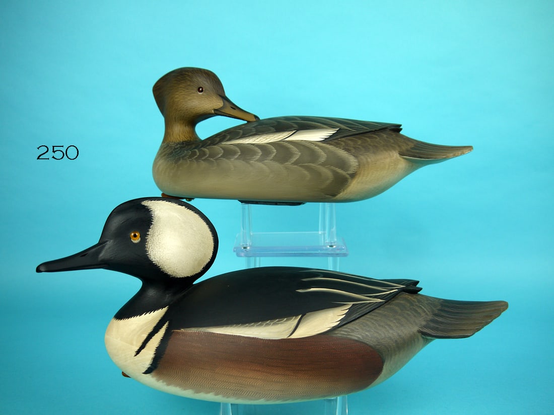 HOODED MERGANSER PAIR, G. STRUNK (1 of 4)