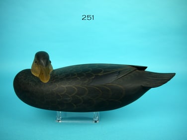 SLEEPING BLACK DUCK, G. STRUNK