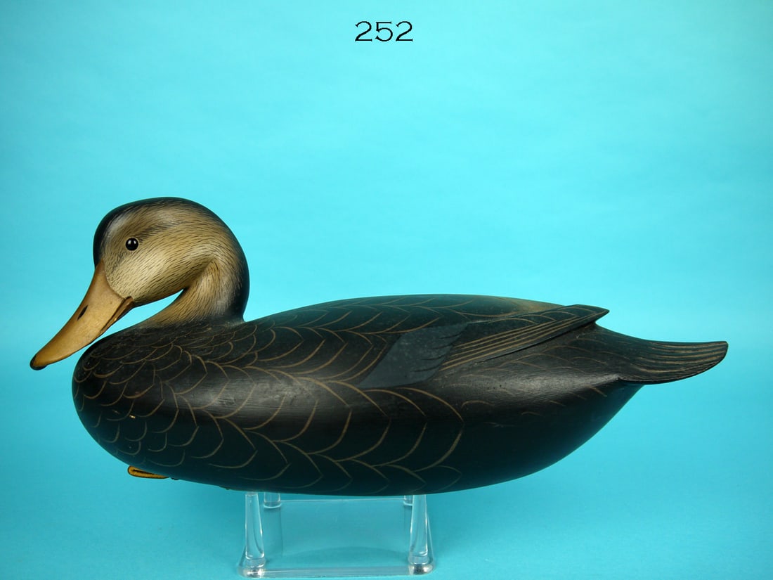 BLACK DUCK, G. STRUNK (1 of 4)
