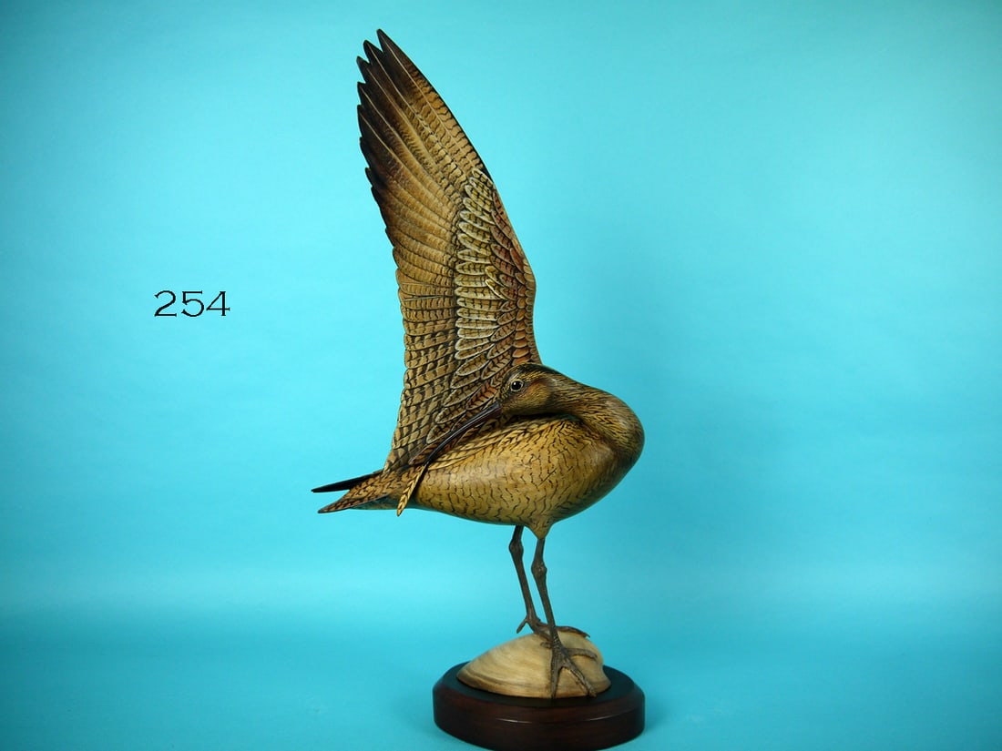 ESKIMO CURLEW, W. GIBIAN (1 of 4)