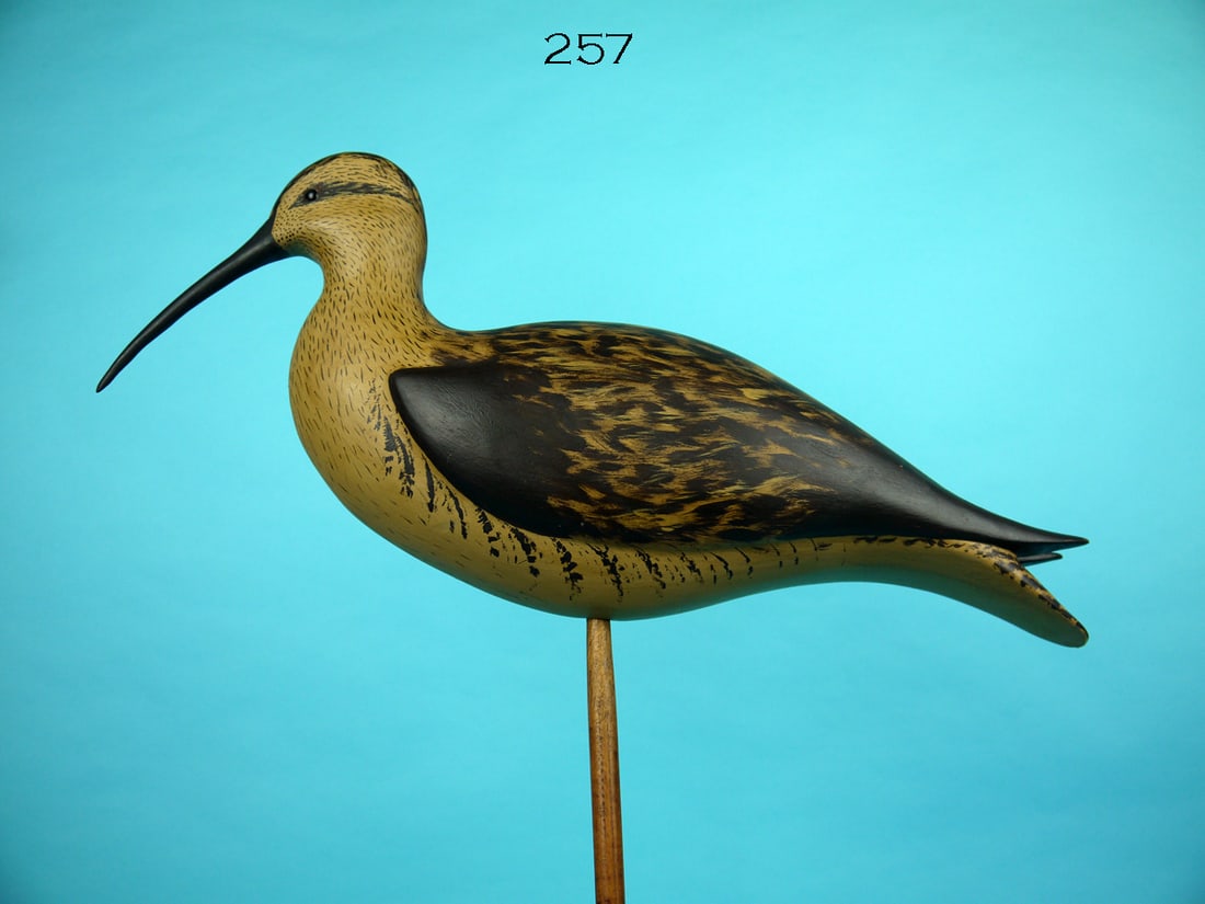 OVERSIZED CURLEW, B. WHITE (1 of 4)