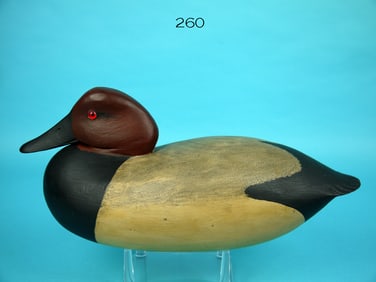 CANVASBACK DRAKE, B. WHITE