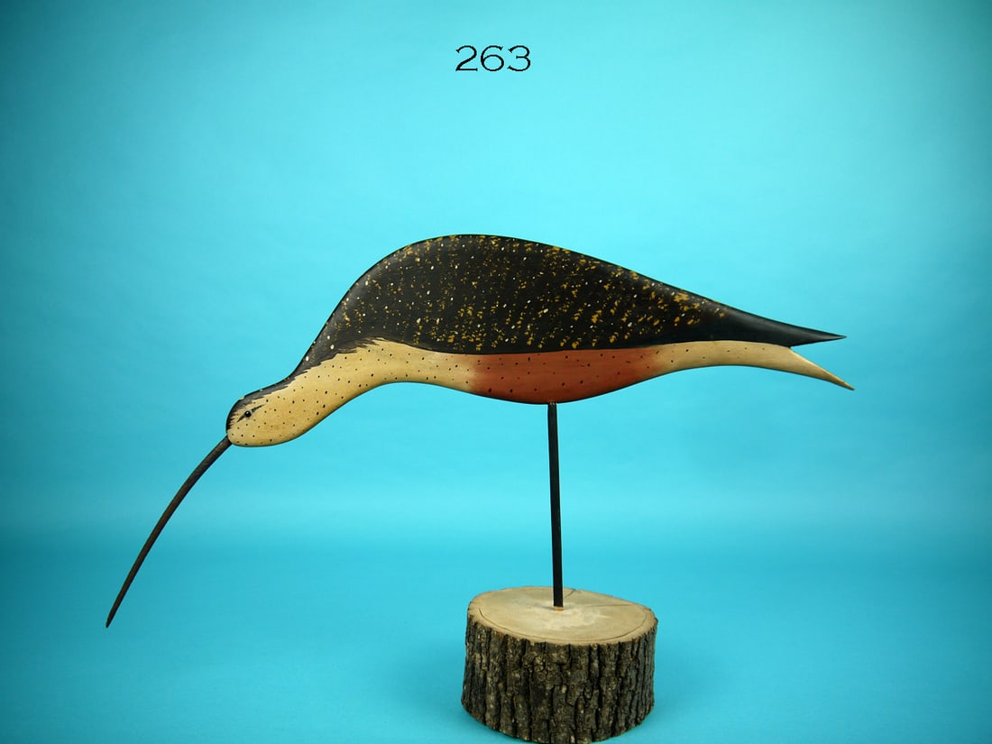 DOWITCHER, B. WHITE (1 of 2)