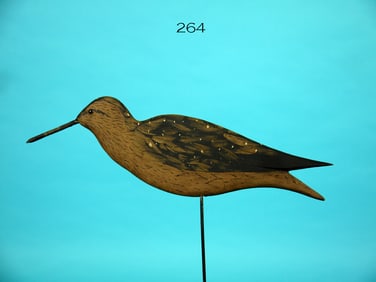 DUNLIN, B. WHITE