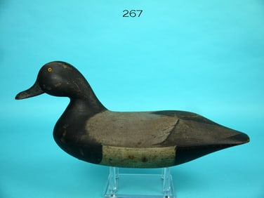 BLUEBILL DRAKE, J. BLAIR, JR.