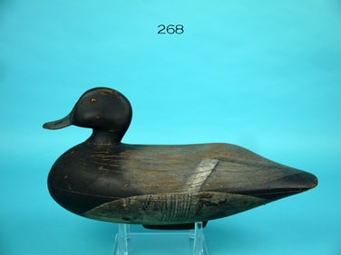 BLUEBILL DRAKE, J. BLAIR JR.