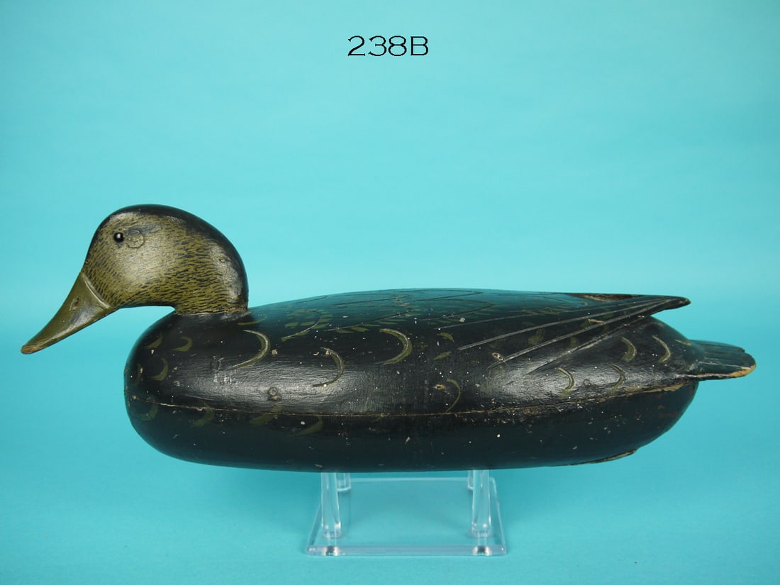 BLACK DUCK, J, ENGLISH (1 of 4)