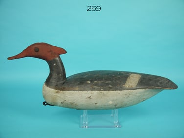 RED-BREASTED MERGANSER HEN, T. JOHNSON