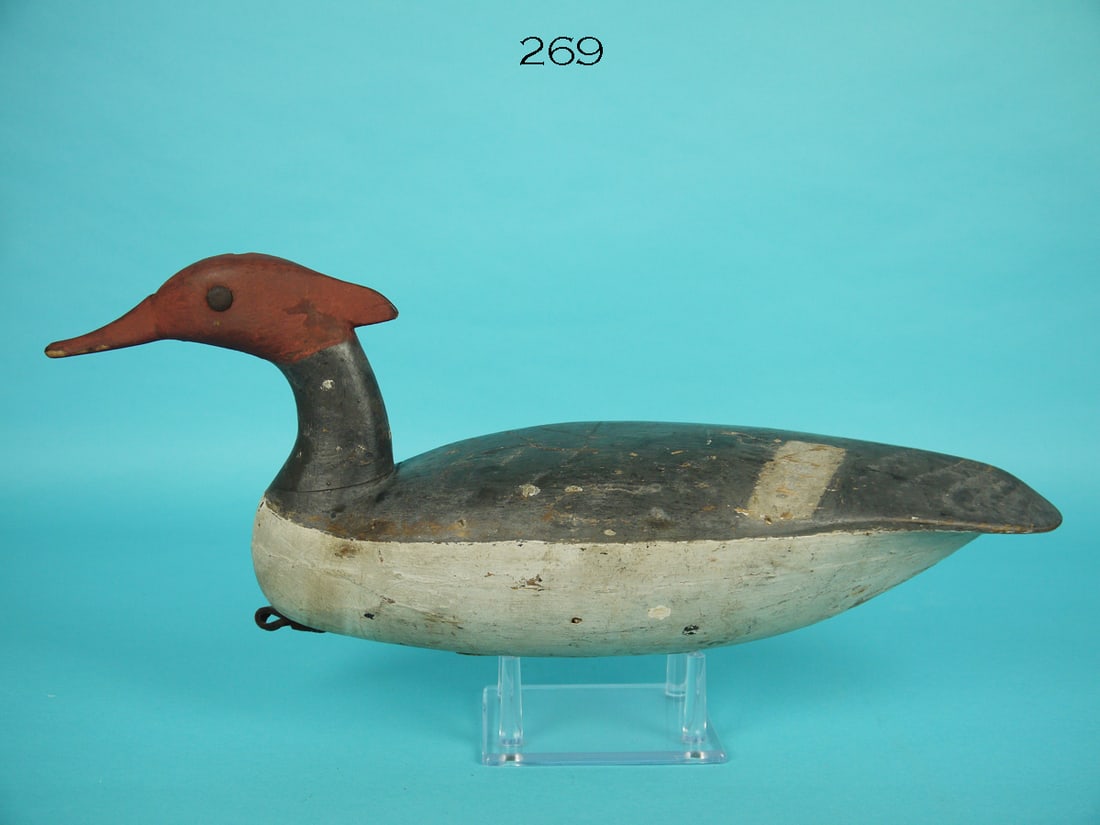 RED-BREASTED MERGANSER HEN, T. JOHNSON (1 of 4)