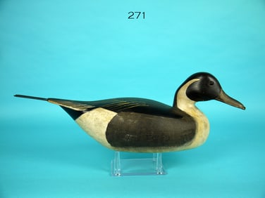 RARE PINTAIL DRAKE, C. BIRDSALL