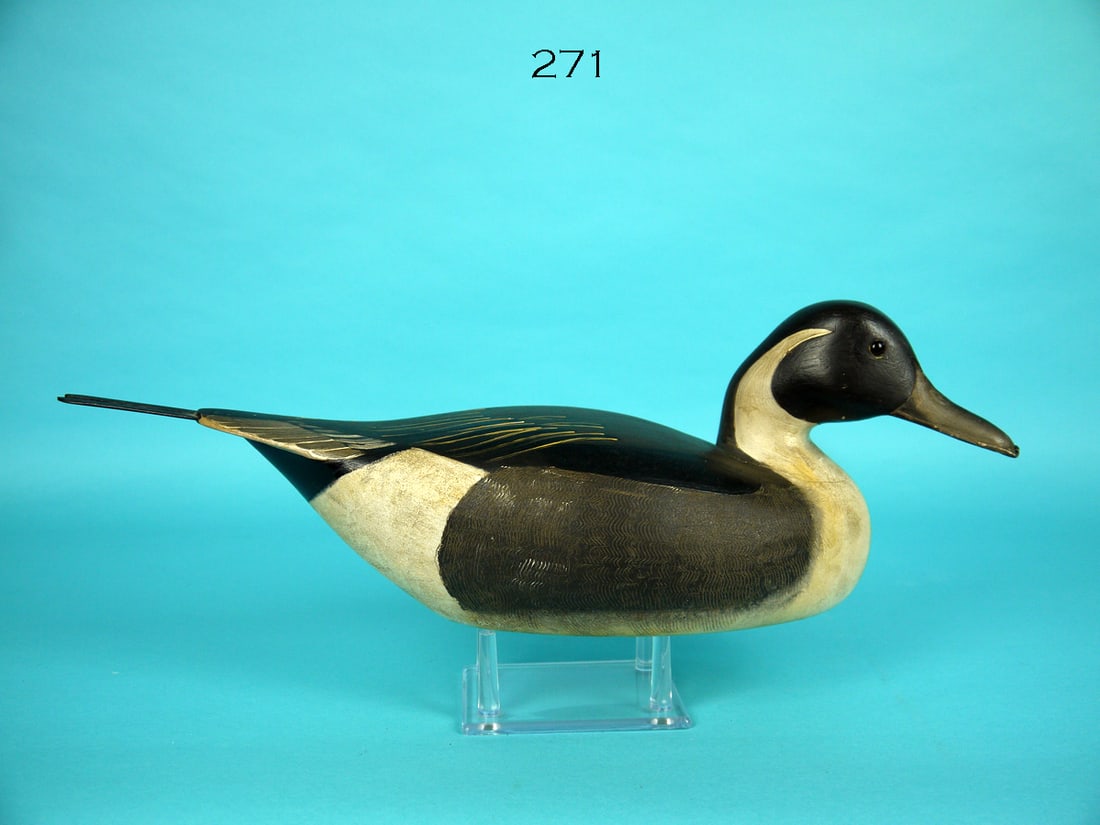 RARE PINTAIL DRAKE, C. BIRDSALL (1 of 4)