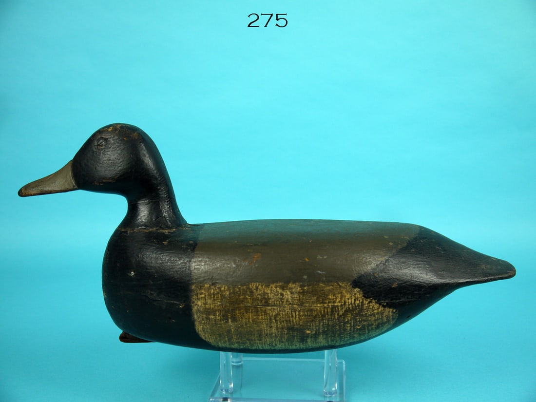 BLUEBILL DRAKE, S. SOPER (1 of 4)