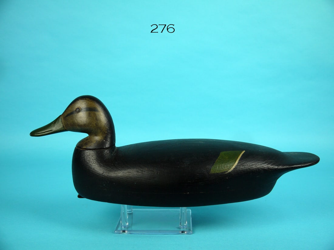 BLACK DUCK, C. SPRAGUE (1 of 4)