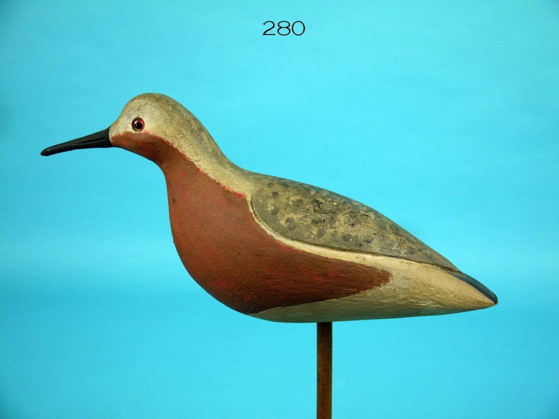 RED KNOT, C. SPRAGUE (1 of 3)