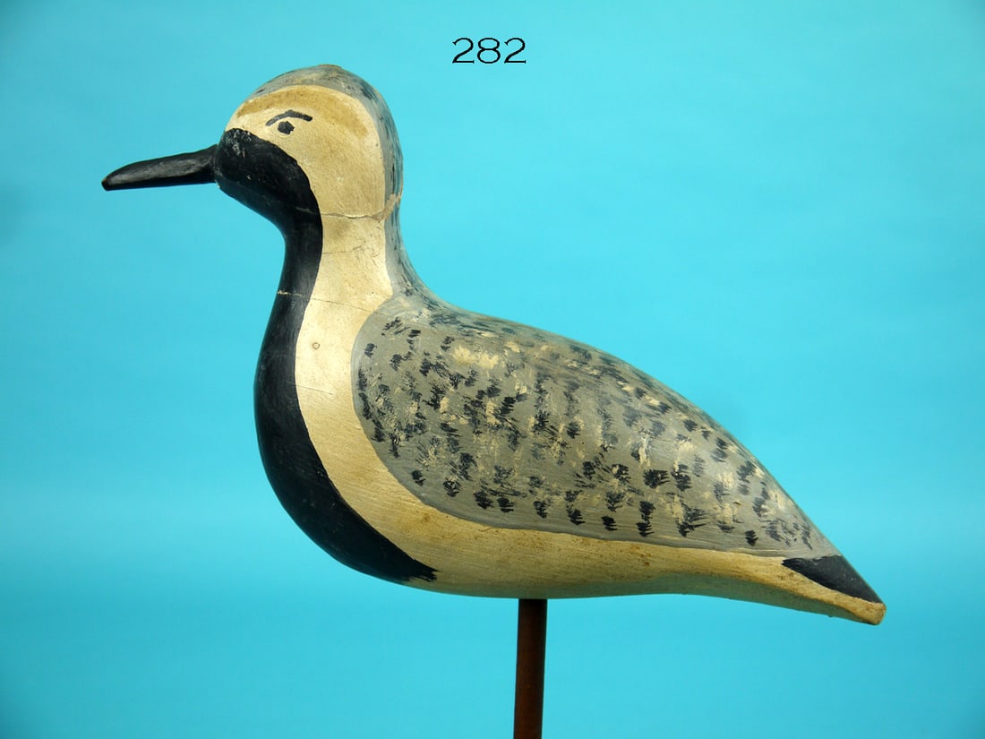 BLACK-BREASTED PLOVER, C. SPRAGUE (1 of 3)