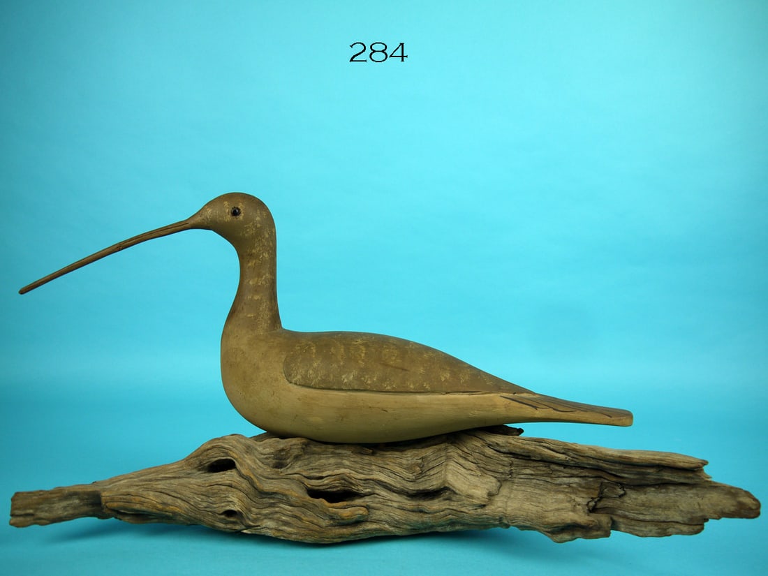 CURLEW, C. SPRAGUE (1 of 2)