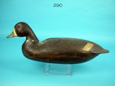 BLUEBILL HEN, D. CRANE/L. PARKER