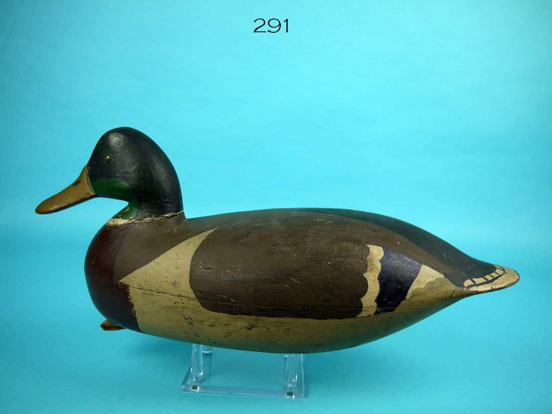 MALLARD DRAKE, J. UPDIKE (1 of 4)