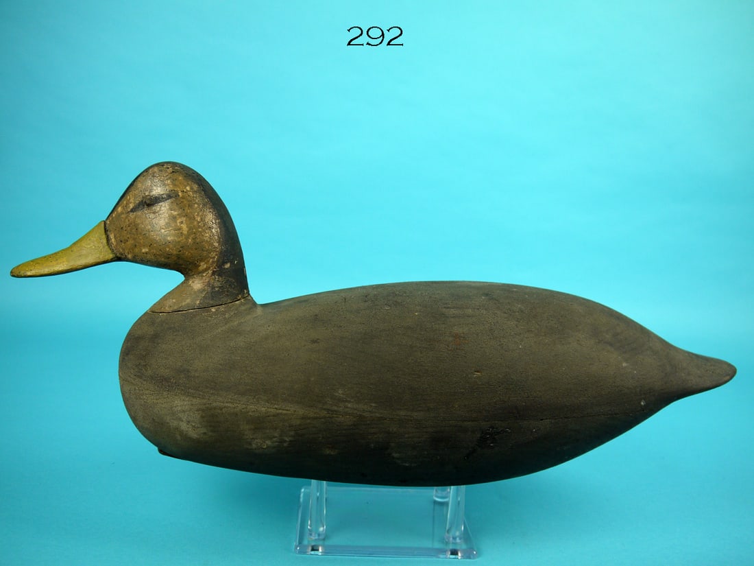 BLACK DUCK, J. UPDIKE (1 of 4)