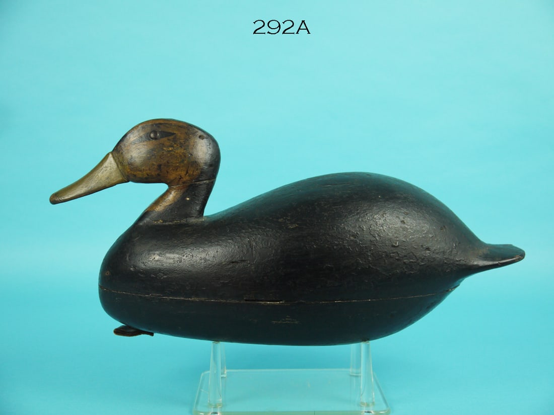 BLACK DUCK, J. UPDIKE (1 of 4)