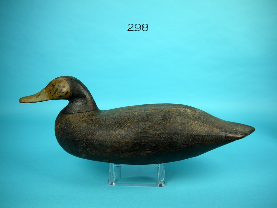 BLACK DUCK, HICKMAN/DABLER: BLACK DUCK, New Jersey. Working paint with overall wear. Good structural condition with gunning wear and several tight checks to back. The head is by Cal Hickman and the body carved by Cleve Dabler. R