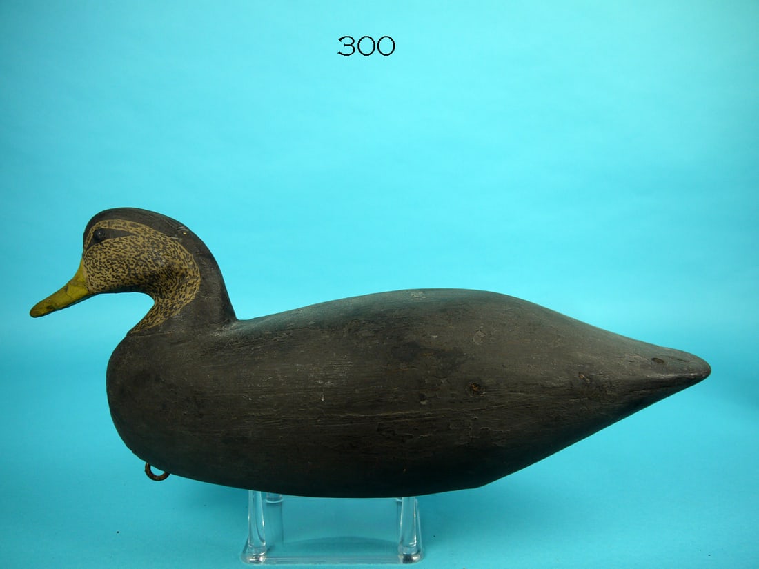 BLACK DUCK, C. LEWIS (1 of 4)