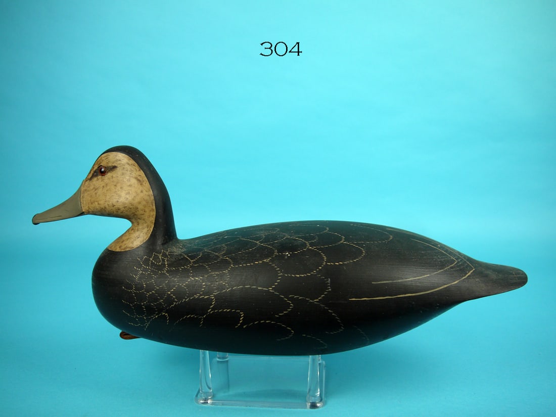 BLACK DUCK, R. MCCORMICK (1 of 4)