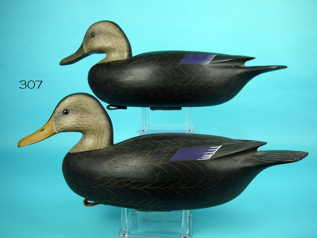 BLACK DUCK PAIR, WM. OLER (1 of 4)