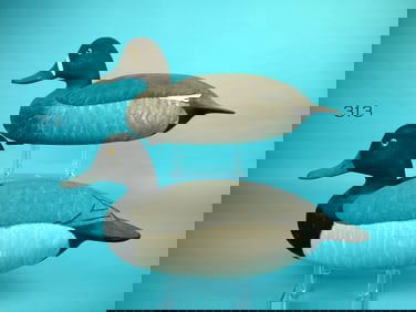 BLUEBILL PAIR, B. RUTTER, JR.