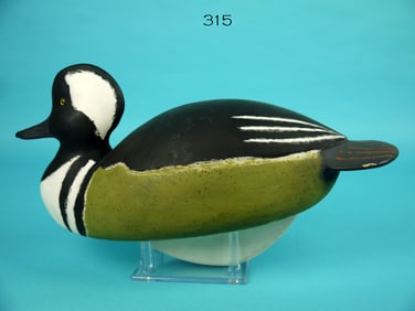 RARE HOODED MERGANSER DRAKE, W. SCHNOOR