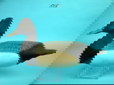 BLUEBILL DRAKE, H.V. SHOURDS